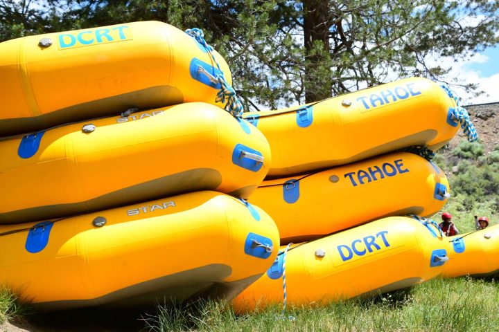 a group of parked motorcycles sitting on top of a grass covered field