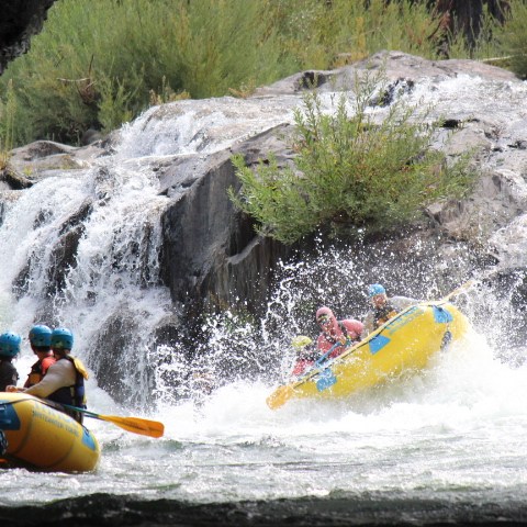 People whitewater rafting near a small waterfall, surrounded by rocks and greenery.