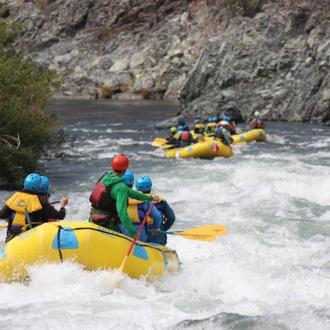 Groups rafting down a rocky river in yellow inflatable rafts.