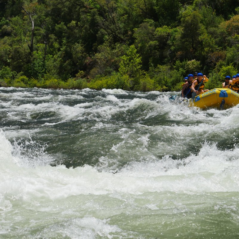 Group rafting through white-water rapids with trees in the background.