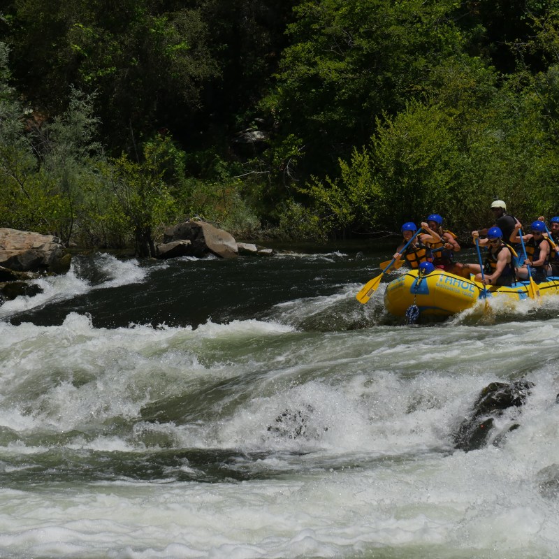 Group white-water rafting on a rapid river with helmets and paddles.