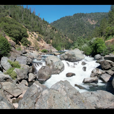 Rocky river with rapids flowing through a forested mountain landscape.