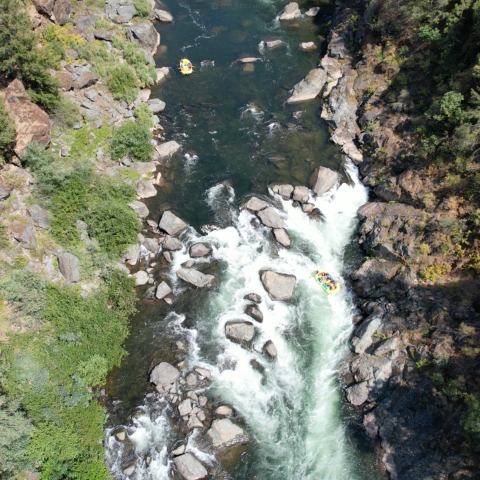 Aerial view of rafters navigating a rocky river surrounded by trees.