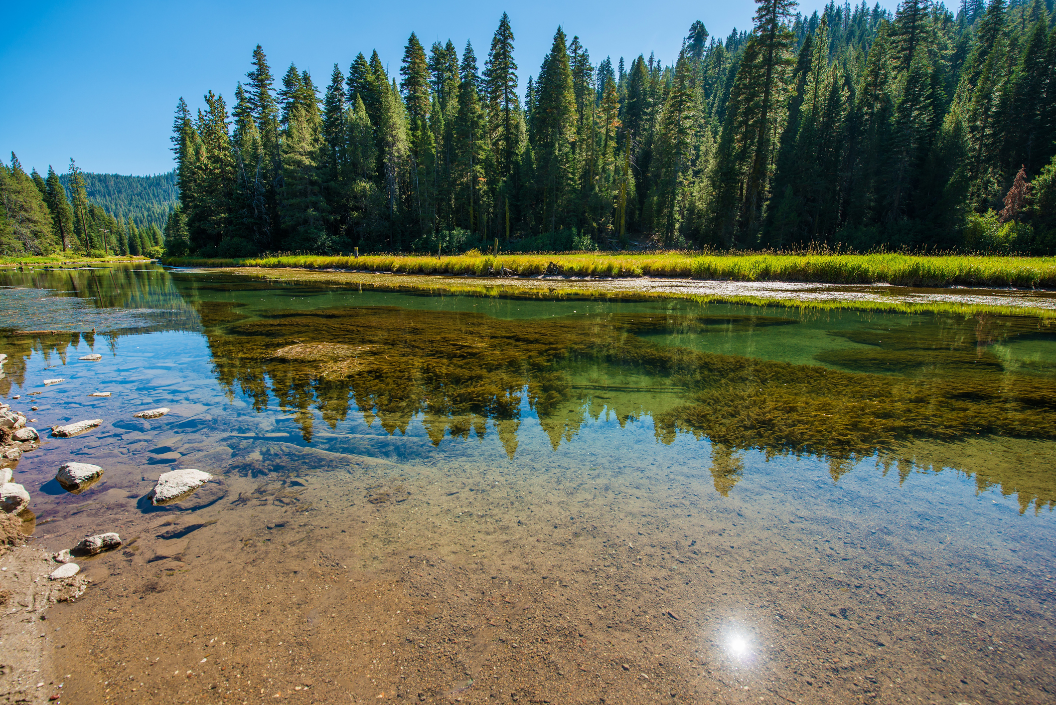Calm, clear waters of the Truckee River during a summer day near Lake Tahoe, California, USA.